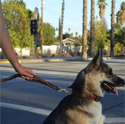 Guiding Star 6ft Double Handle Leather Dog Leash, Heavy Duty Braided for Small Medium & Large Dogs, Brown