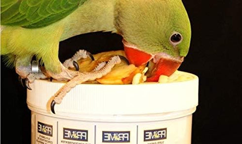 Hagen Prime Parrot Vitamin, Mineral, and Amino Acid Supplement for Seed Eating Birds, 1.1 oz