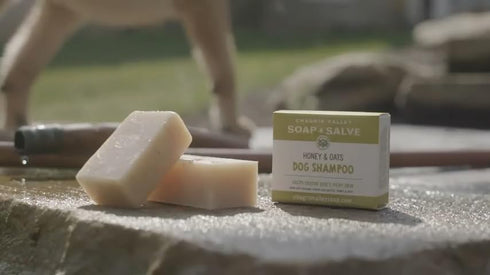 3.8 oz Chagrin Valley Soap & Salve Certified Organic Dog Shampoo and Conditioner Dog Shampoo Itchy Skin Relief