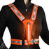 LED Reflective Vest Safety Gear, Light Up Vest for Night Walking, High Visibility Running Vest with Reflective Strips