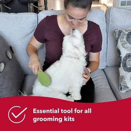 Coastal Pet Safari Wire Pin Brush with Plastic Handle - General Dog Grooming Brush, 9.25" x 2.5"