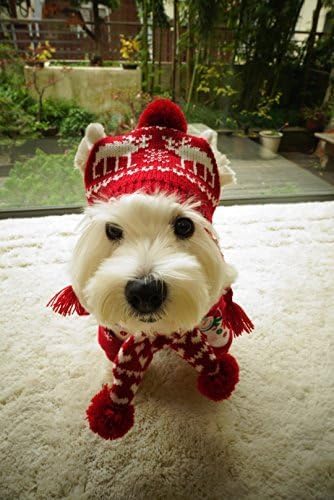 Cat Christmas Reindeer Scarf and Hat Set Costume for Small Pets Puppy - Red, XSmall