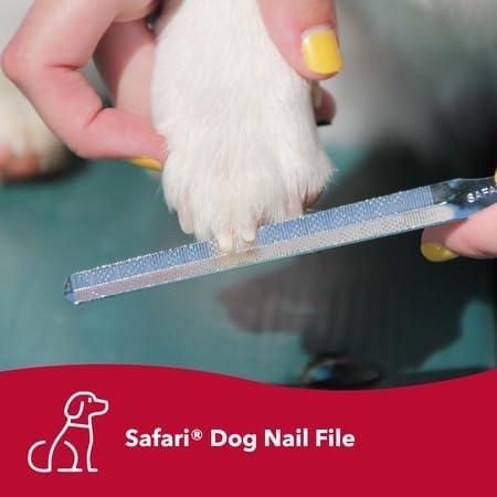 Coastal Pet Safari Dog Nail File - Ensure a Smooth Finish After Cutting - Remove Burs from Outdoor & Indoor Dogs - One Size