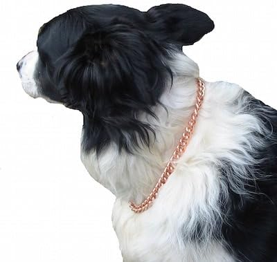Copper Magnetic Therapy Dog Collars Made to Measure in Solid Copper with Magnets (16 inch)