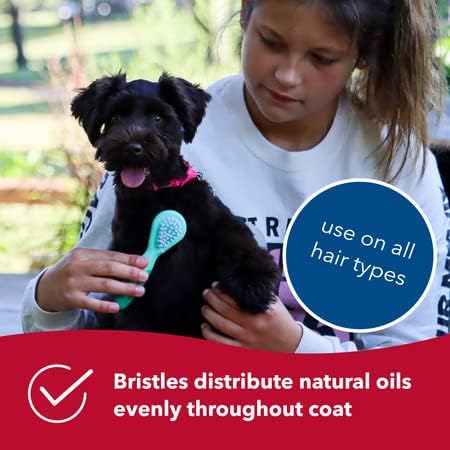 Coastal Pet Li'l Pals Dog Combo Brush - Grooming Brush for Small Dogs, One Size