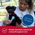 Coastal Pet Li'l Pals Dog Combo Brush - Grooming Brush for Small Dogs, One Size