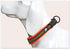 Creation Core Reflective Mesh Padded Dog Collar, Adjustable Nylon Outdoor Adventure Pet Collar, Orange S
