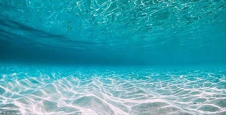 72X18IN Natural Undersea Aquarium Background, Undersea Beach Fish Tank Background with 8 EVA Double-Sided Tape