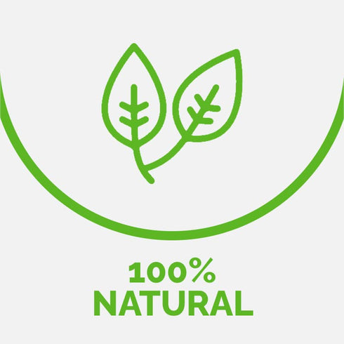 8.82 oz,, 65% 3 6, IN INSECT NUTRITION Cricket Flour High Protein Protein, Omega and Rich in Fiber and prebiotics