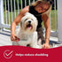Coastal Pet Safari Dog Shedding Combs - Shedding Brush for Short and Long Hair, 7" x 1.5"