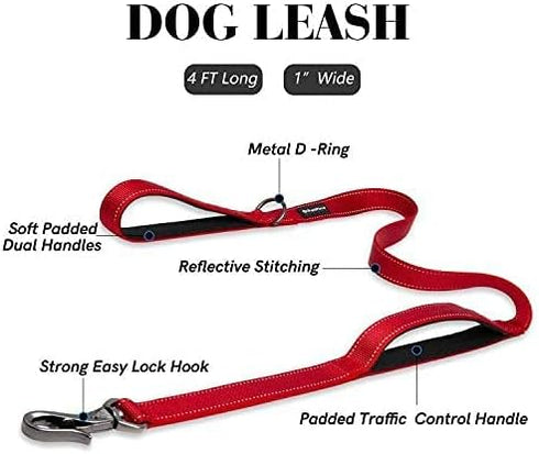PetiFine 4FT Heavy Duty Dog Leash with Soft Padded Double Handle, Durable Reflective Nylon Walking Lead for All Breeds