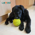 LaRoo Durable Natural Rubber Squeaky Dog Ball Toy, Teeth Cleaning Chew Toy for Medium and Large Dogs (9CM Green)
