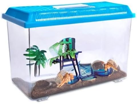 7 6 Inches Needzo Hermit Crab Lifeguard Food and Water Station, Decorative Feeder Stand Tank Accessory, x