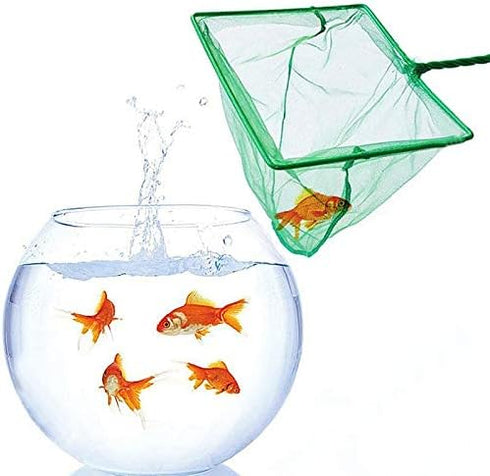 2 Pack Aquarium Fish Nets - DSSPORT 4 Inch Small Mesh Catch Nets with Plastic Handle, Pine Green