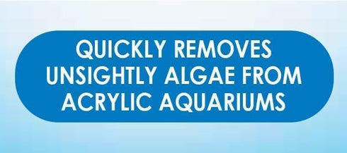 Algae Hand Pad for Acrylic Cleaning