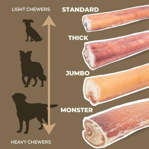 12 Inch (5 Bully Bunches Premium Standard Odor Free Bully Sticks for Small & Medium Dogs - Consistently Sized, Long