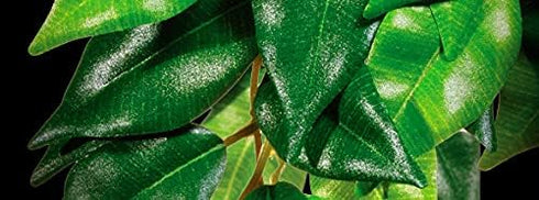 Small Mandarin Plastic Terrarium Plant for Reptiles