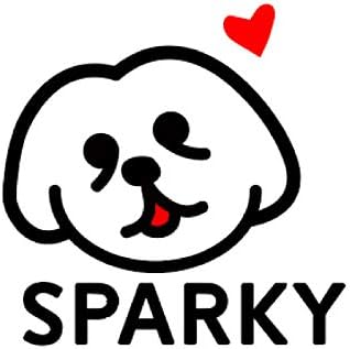 Sparky Pet Co - Apollo ECollar Replacement Strap - Waterproof Biothane Dog Collar - Adjustable, 3/4" x 28" (Teal)