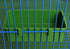 Bird Seed Food Feeding Cups - Plastic Hanging Bowl for Poultry Parrot Pigeon Parakeet Budgie Cage (4.72 Inch)