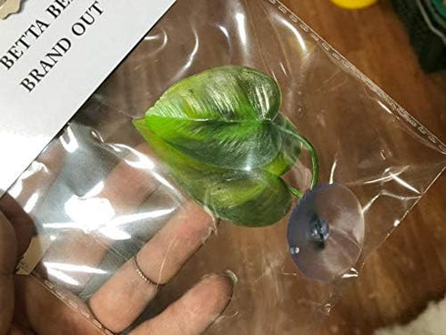 CousDUoBe 2 Pack Betta Fish Leaf Pad - Natural, Organic Rest Area for Fish Aquarium Ornaments
