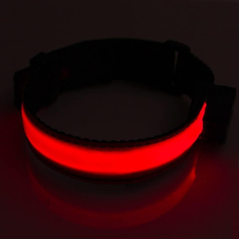 Glovion LED Armband, Reflective Running Gear, Rechargeable