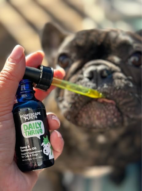 Homescape Pets Daily Thrive - Hemp Oil & Turmeric for Cats & Dogs, Anti-Inflammatory Pain Reliever