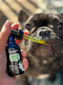 Homescape Pets Daily Thrive - Hemp Oil & Turmeric for Cats & Dogs, Anti-Inflammatory Pain Reliever