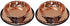 Petsentials Non-Skid Food Bowl, Premium Grade Stainless Steel, Elegant Bronze, Small, 18oz, 2 Pack