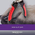 Ryan's Pet Supplies Paw Brothers Nail Clipper for Dogs and Cats, Professional Grade, 6.5 inches