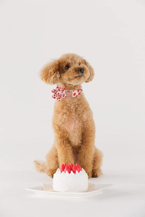 Lionet Paws Dog Collar with Flower, Cute Cotton Adjustable Flower Collar with Metal Buckle for Medium Dog Girl Boy Gift