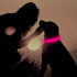 BSEEN Light Up Dog Collars - Adjustable Reflective LED Dog Collar, Rechargeable Camping Gear for Small Medium Large