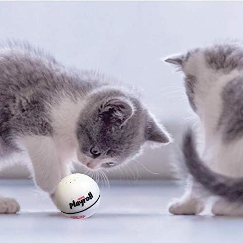 Playroll! Robotic Self Spinning Ball Toy for Cats and Dogs - Built-in Catnip Chamber, LED Light, Auto Sleep Function