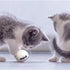 Playroll! Robotic Self Spinning Ball Toy for Cats and Dogs - Built-in Catnip Chamber, LED Light, Auto Sleep Function