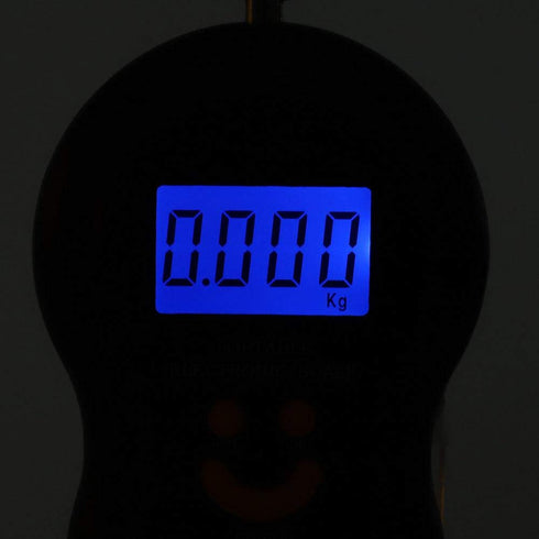 Portable LCD Display Digital Fishing Hanging Scale, Electric Weighing Scale for Home and Fishing