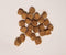 Wormy Worms Freeze Dried Brine Shrimp for Fresh and Saltwater Fish (12oz)