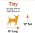 MidWest Homes for Pets Skudo Plastic Carrier, 19-Inch, Ideal for "Toy" Dogs up to 6 Pounds