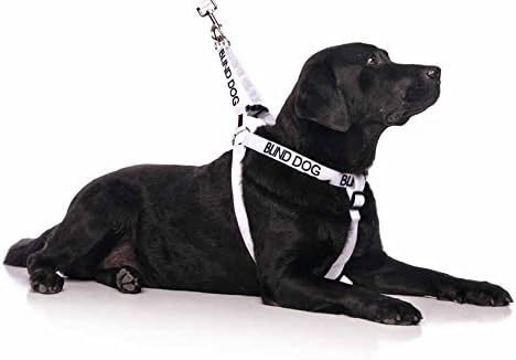 Limited Blind Dog White Color Coded Alert Warning Harness - L XL Non-Pull, Prevents Accidents