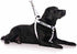 Limited Blind Dog White Color Coded Alert Warning Harness - L XL Non-Pull, Prevents Accidents