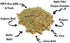 (10 Pampered Chicken Mama Chicken Feed Mash - Premium Layer Feed Pellets - High Protein & High Calcium Chicken Grower