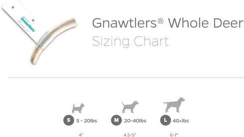 Pet Parents Gnawtlers Premium Antlers for Dogs, Naturally Shed, All Natural Dog Chew, Medium, 1 Count