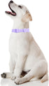 FEimaX Waterproof Dog Collar, Adjustable Stinkproof Soft Comfortable Collars for Large Medium Small Dogs, Easy to Clean