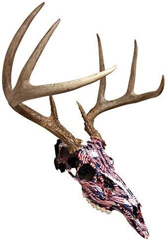 Skull Mount Hanger for Hanging Deer, Mule, Antelope, Coyote, and Small Game Animals (1)