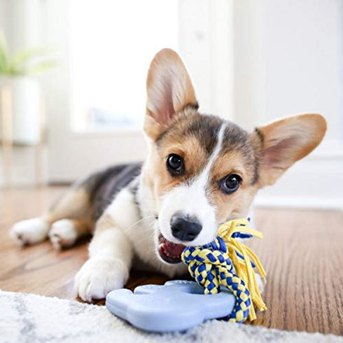 Zippy Paws Zp425 Teetherz Elliot The Elephant Dog Toy