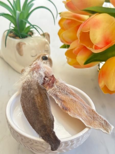 Dehydrated Rabbit Ears for Dogs & Cats, Whole Rabbit Ears with Fur, 100% Single Ingredient (Pack of 10)