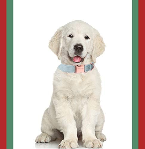 ARING PET Dog Collar and Leash, Velvet Dog Collar and Leash Set, Adjustable Collars for Dogs