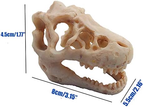 Mini Dinosaur Skull Aquarium Ornament | Resin Tank Decoration for Betta Fish | Small Reptile Hideout with Holes