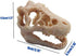 Mini Dinosaur Skull Aquarium Ornament | Resin Tank Decoration for Betta Fish | Small Reptile Hideout with Holes