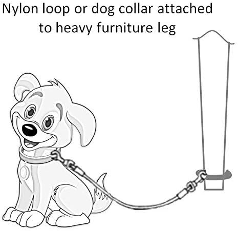 Dog Training Tie Out Cable, 3 Ft Chew Proof Cable for Potty Training, Jumping, and Destructive Chewing (Tie-Down with