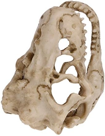 Mini Dinosaur Skull Aquarium Ornament | Resin Tank Decoration for Betta Fish | Small Reptile Hideout with Holes