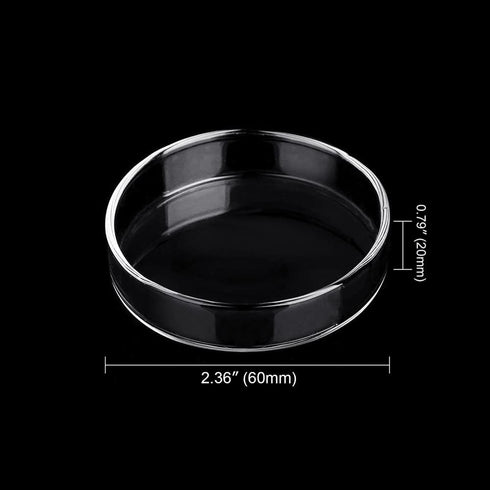 Aquarium Glass Feeder Dish, Round Clear Glass Fish Feeding Bowl, 60mm, Prevents Food Spilling in Fish Tank